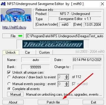 Need for Speed Underground Save Game Editor